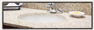Installed Ceramic Undermount Sink